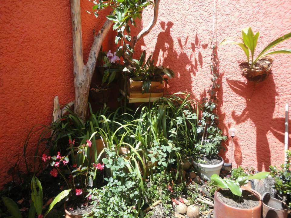 Hostal Del Carmen Villa de Leyva Dış mekan fotoğraf